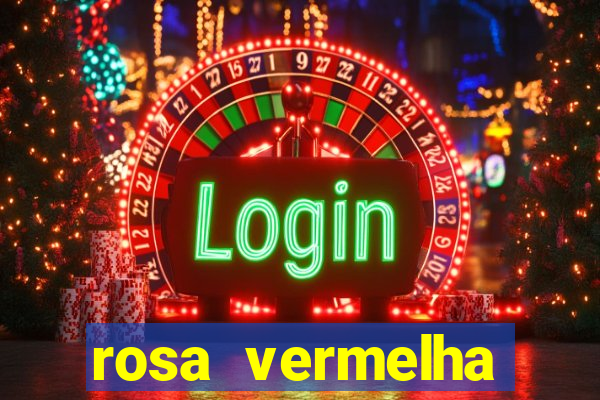 rosa vermelha (letra e cifra)